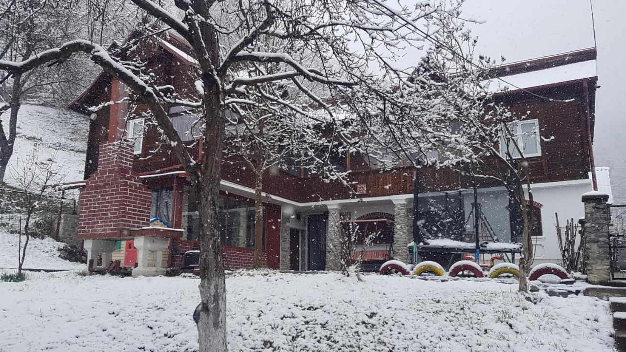 브레조이 Casa Colt De Rai 빌라 외부 사진