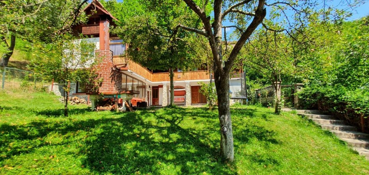 브레조이 Casa Colt De Rai 빌라 외부 사진