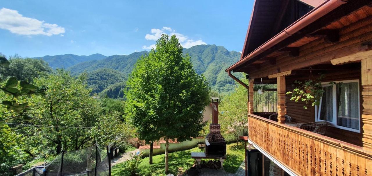 브레조이 Casa Colt De Rai 빌라 외부 사진