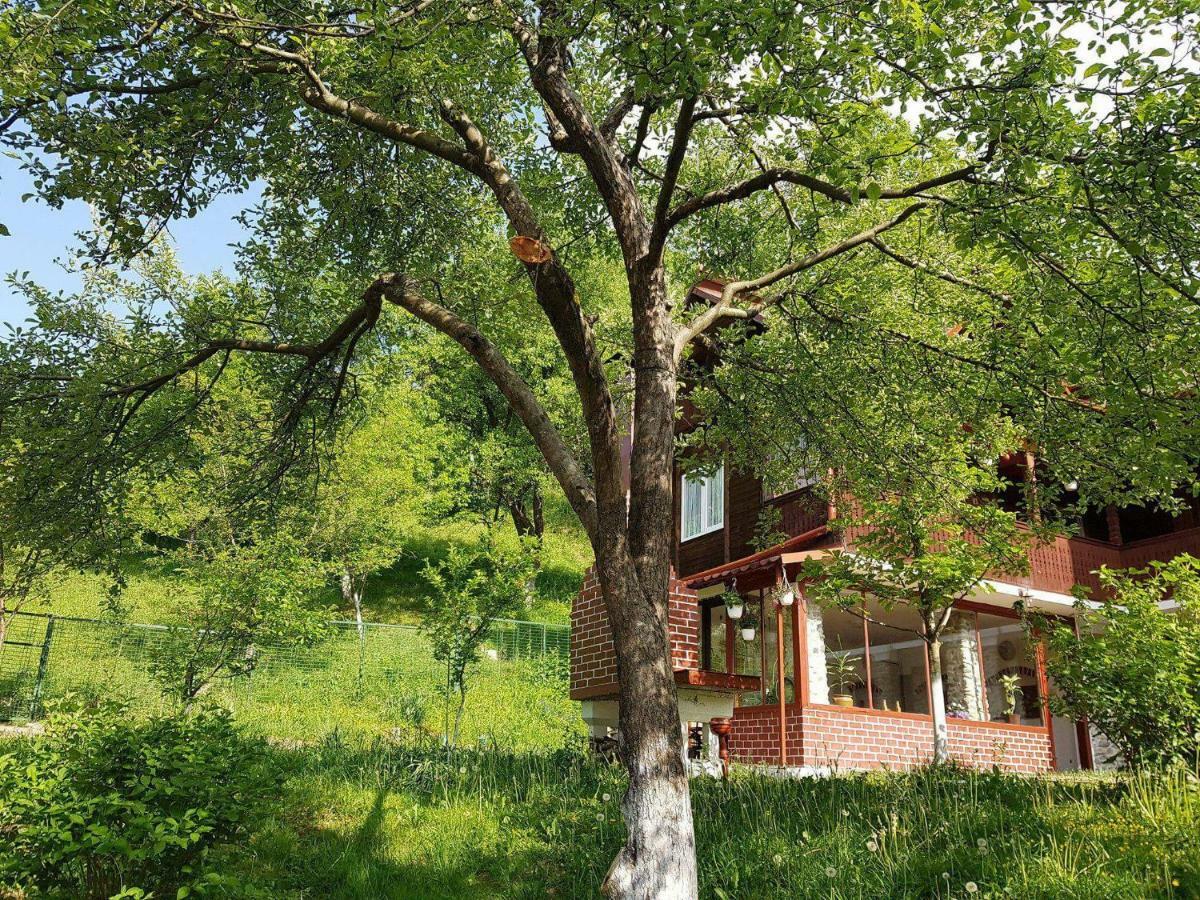 브레조이 Casa Colt De Rai 빌라 외부 사진