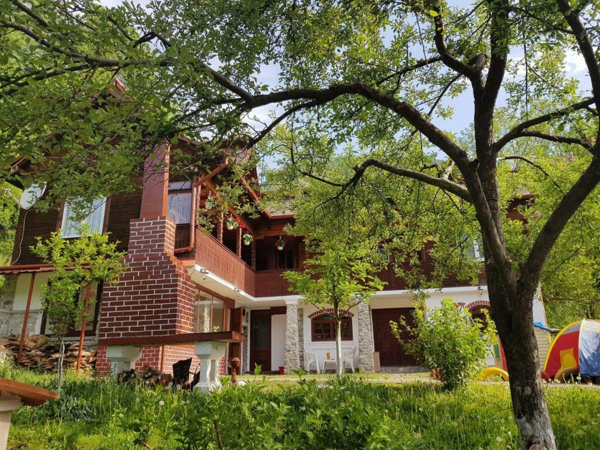 브레조이 Casa Colt De Rai 빌라 외부 사진
