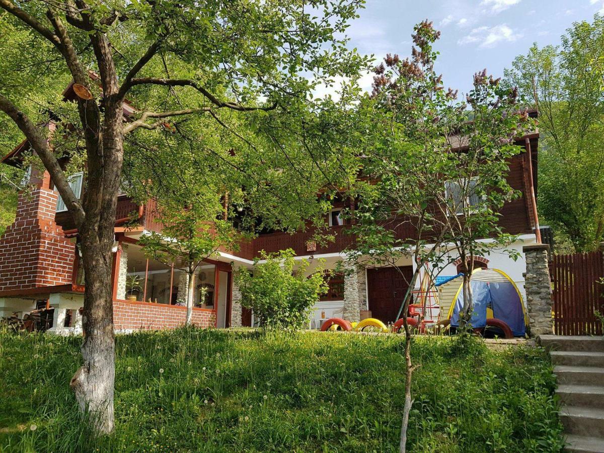 브레조이 Casa Colt De Rai 빌라 외부 사진
