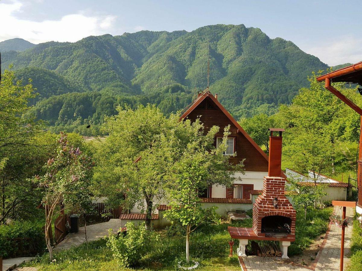 브레조이 Casa Colt De Rai 빌라 외부 사진