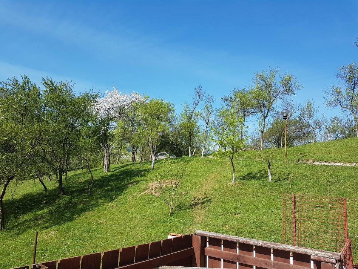 브레조이 Casa Colt De Rai 빌라 외부 사진
